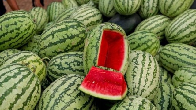 লাল তরমুজ চেনার উপায়